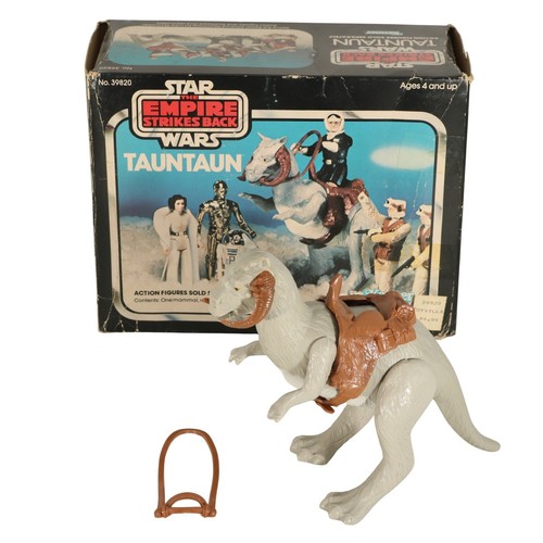 Taun - belly),