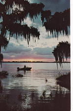 Vintage Postcard Florida