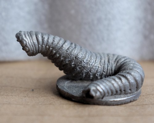 Giant leech monster c22 - leech,