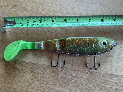 Catch big predator pike abu - catch, pike!