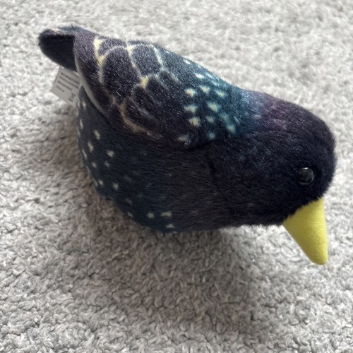 Rspb wild republic starling - wild,