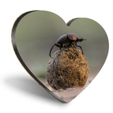 Heart MDF Coaster Dung Beetle