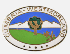 Vintage Cumbria Westmorland Womens Institute WI Enamel Brooch Badge