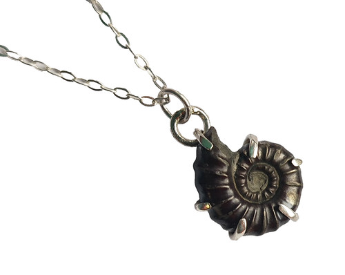 Pyrite ammonite fossil - pyrite,