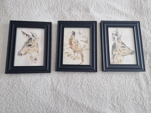 Set framed wildlife - of,