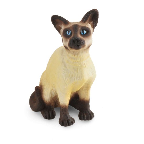 Collecta siamese cat - collecta, sitting