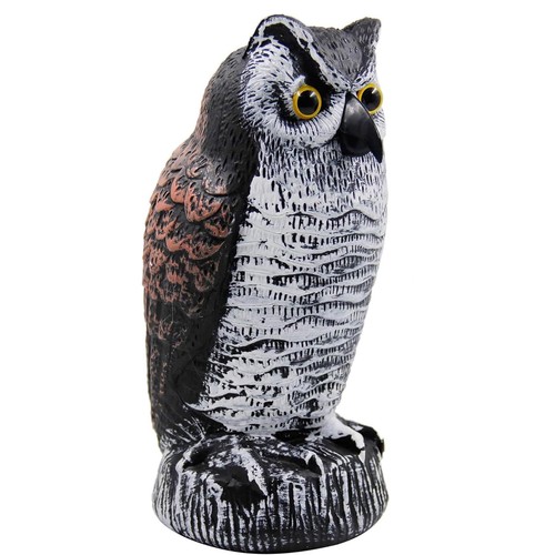 Owl decoy statue protect - owl,