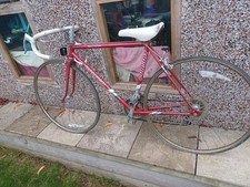 Vintage Raleigh Pursuit shed