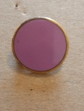 Vintage Enamel School Pin