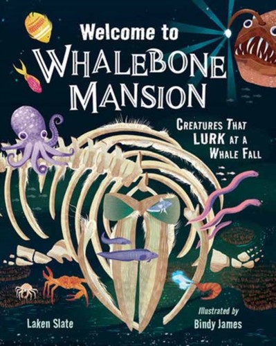 Welcome whalebone mansion - whalebone,