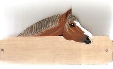 Welsh section B pony