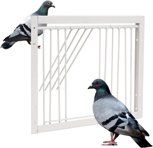 Iron birdcage one way door - iron,