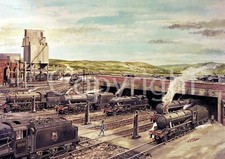 Burnley Rose Grove Steam