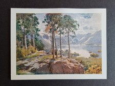 Antique 1908 print -