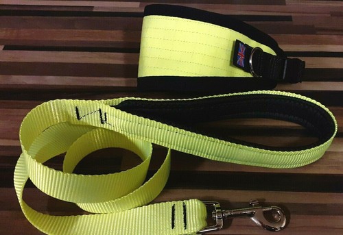 Whippet dog collar - collar, lead
