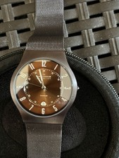Skagen Sundby Titanium and