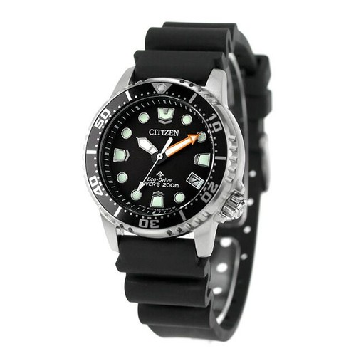 New citizen promaster - new,