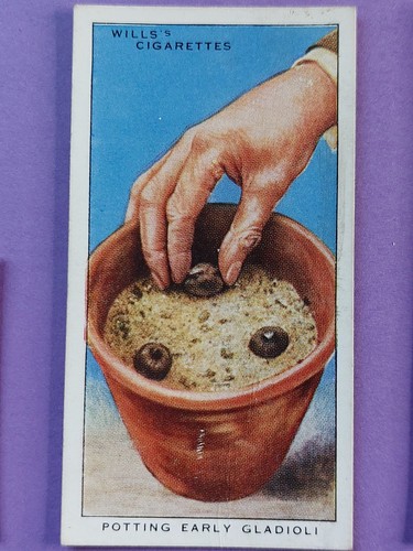 Vintage willis garden hints - garden,
