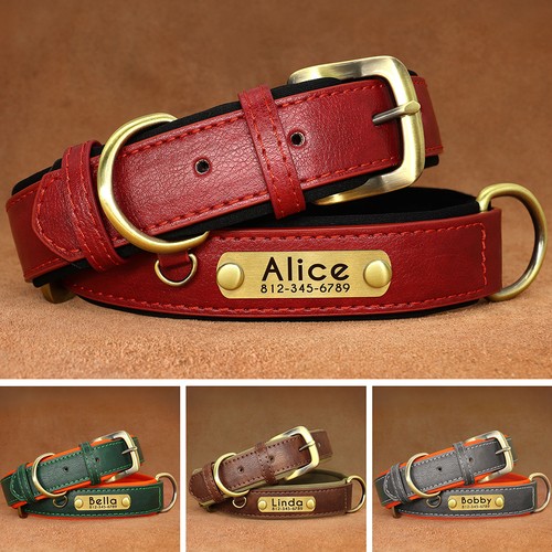 Personalised dog collar soft - collar,