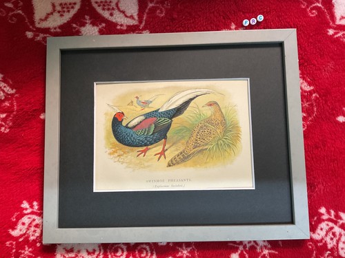 Rare antique 1800s - antique, art