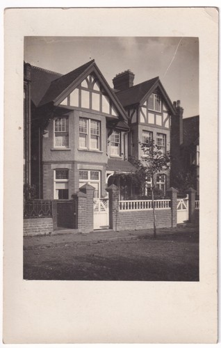 Rppc postcard yew tree - rppc, top