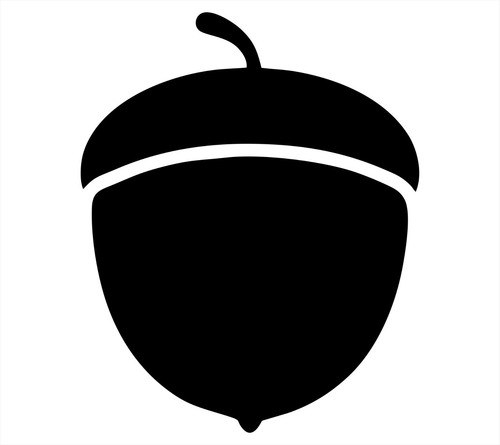 Acorn oak tree seed - acorn, nut