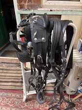 Carriage horse harness complete