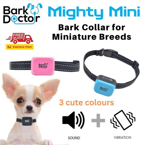Mighty mini dog collar - mini,