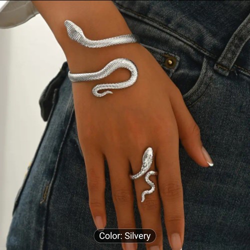 Piece silver serpent jewelry - 2-piece,