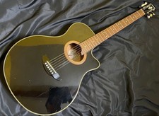YAMAHA Yamaha APX6 electric