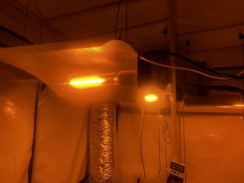 Hydroponics full setup - ,