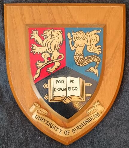 Vintage birmingham university - vintage,