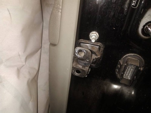 Rear left door check - door,