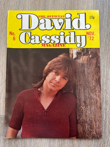 The official david cassidy - david,