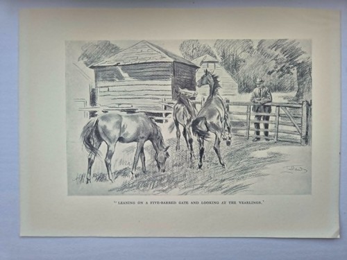 Antique pencil drawing - antique,
