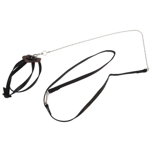 Tortoise harness leash lead - tortoise,