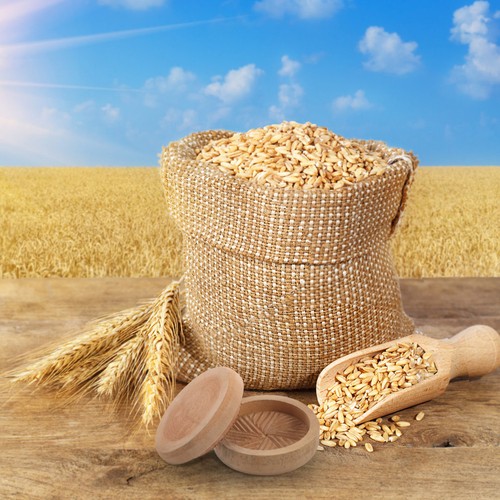 Wheat mill grinder for home - grinder,