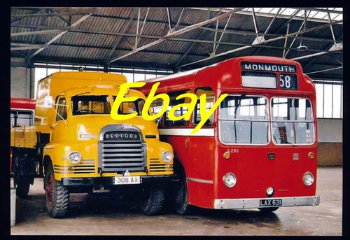Bus photo red white - photo,,
