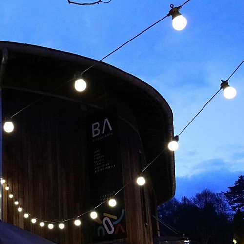 Outdoor string lights festoon - string,