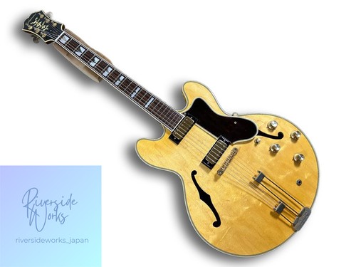 Epiphone usa john lee - epiphone, hooker
