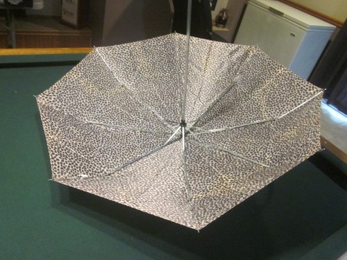 Shaw leopard pattern - shaw,