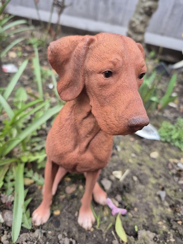 Vivid arts hungarian - hungarian, vizsla