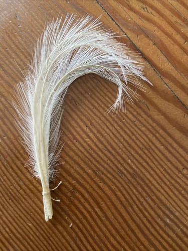 Vintage millinery feather hat - millinery,
