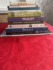 Collection Of 12 Bird &