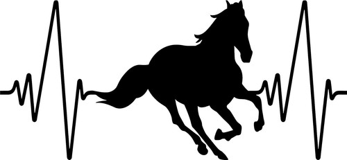 Horse heartbeat animal vinyl - heartbeat,