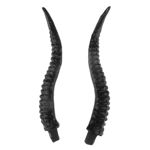 Antelope sheep horn - antelope,
