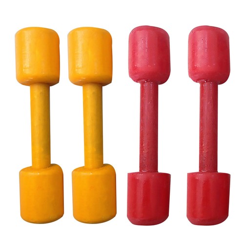 Pairs gym dumbbell - gym,
