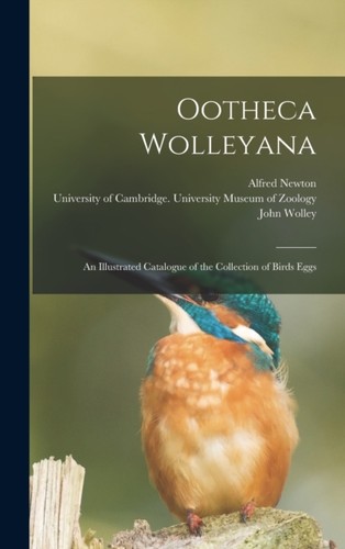 Newton ootheca ana - newton,