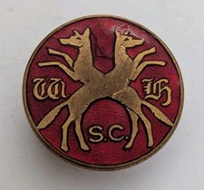 Sir Watkin Williams Wynns Hunt Vintage Enamel Button Badge