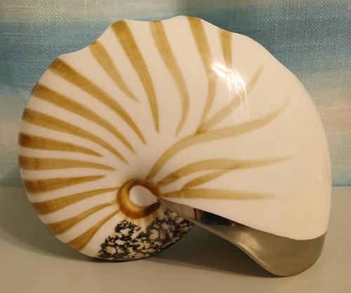 Vintage springmaid nautilus - springmaid,